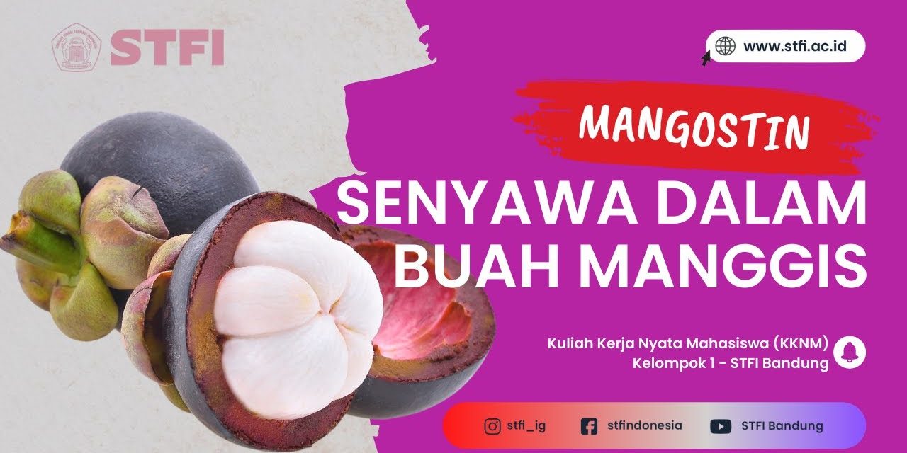Senyawa Alami Kulit Manggis Diteliti BRIN Untuk Kanker Payudara
