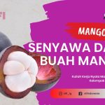Senyawa Alami Kulit Manggis Diteliti BRIN Untuk Kanker Payudara