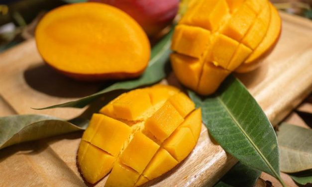 Cara Praktis Menyimpan Mangga Agar Tetap Fresh Dan Lezat