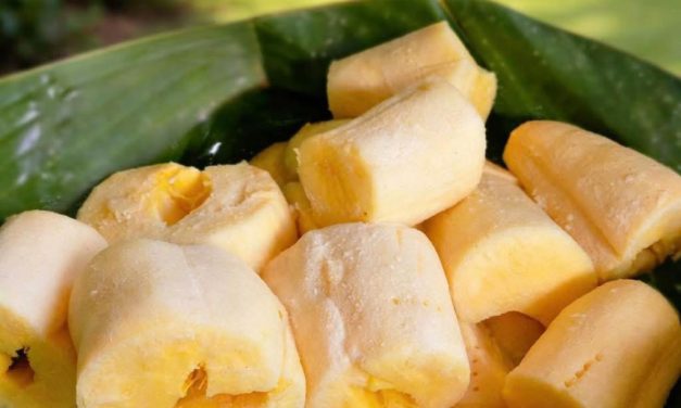 Tape Ubi: Camilan Sehat Dan Energi Cepat Ala Nusantara